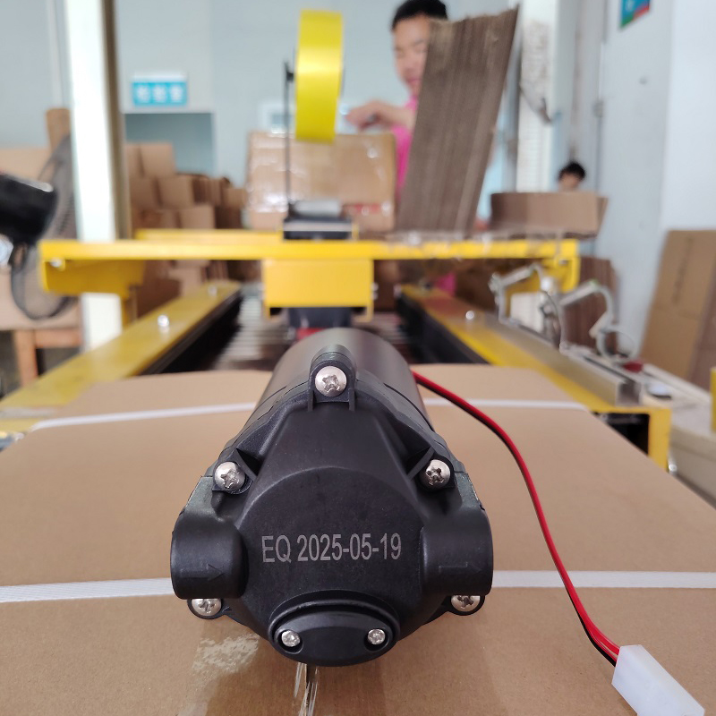 Zuanli Boost Pumps Αποστολή σήμερα για φόρτωση εμπορευματοκιβωτίων!