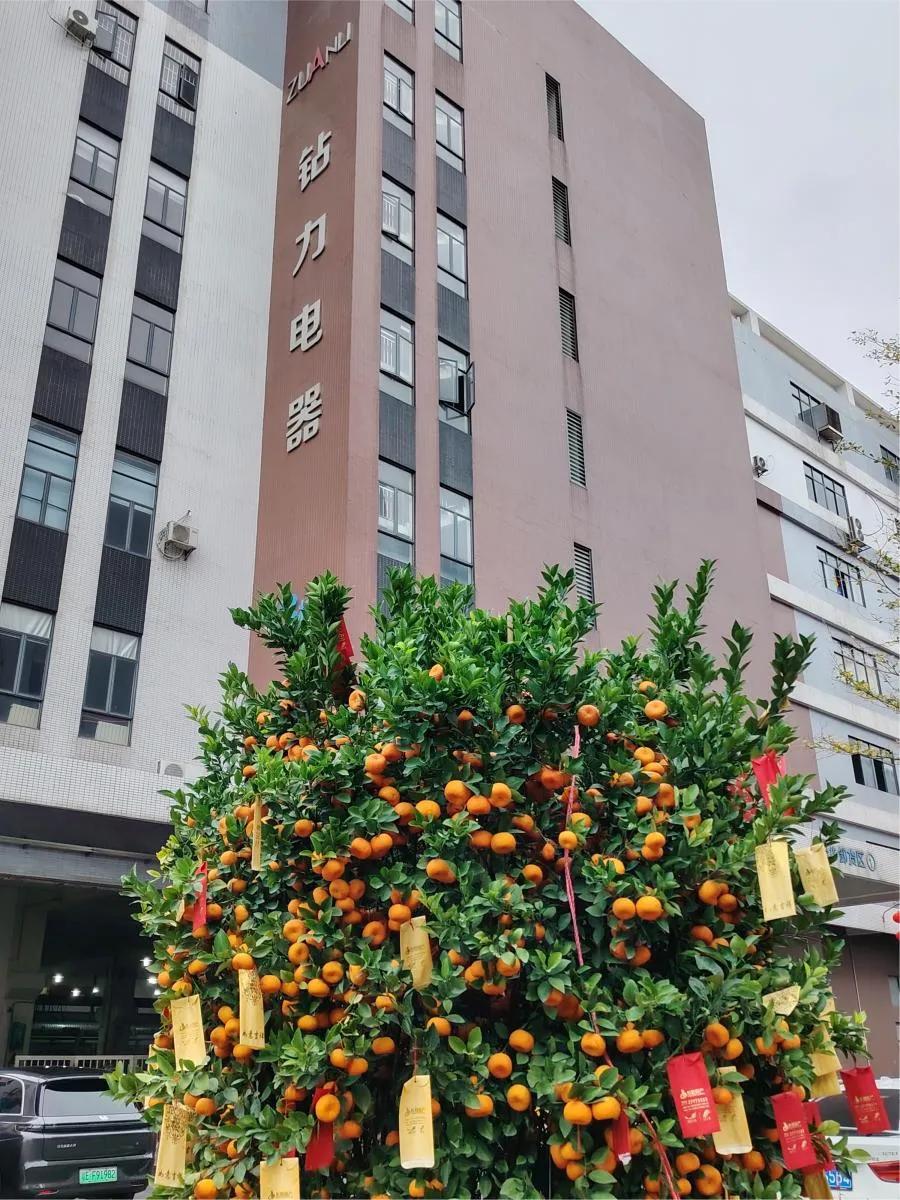 Πρώτη αποστολή μετά το κινεζικό νέο έτος: Αντλίες αντίστροφης όσμωσης υψηλής ροπής Κατευθυνθείτε στην αγορά του εξωτερικού - αντλία zuanli ro!